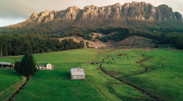 Local Farm Tasmania