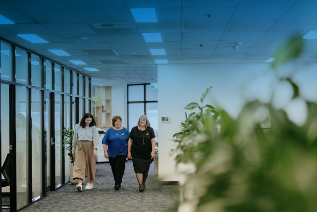 Mckillops Dec 2025 48 gradient